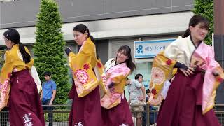 実践女子大学YOSAKOIソーラン部WING（2023ひのよさこい） [upl. by Etty]