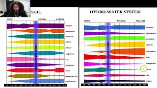 Cannabis PH  Best PH Level For Growing Potent Cannabis [upl. by Bowers]