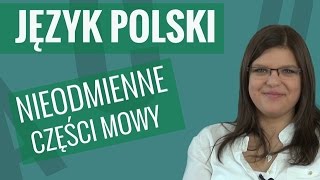 Język polski  Nieodmienne części mowy [upl. by Nospmoht]