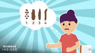 How To Take The Best Poop According To Science [upl. by Ianaj]