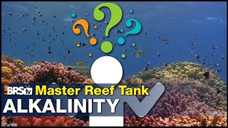 New concept in reef tank Alkalinity How it works amp how to gain 70 or more coral growth [upl. by Gravante855]