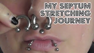 My septum stretching journey [upl. by Nnylsoj]