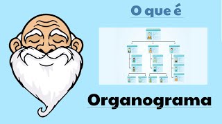 o que é Organograma Qual sua função [upl. by Vitus]