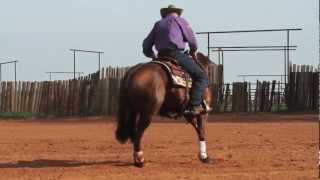 Reiner vs Cow Horse [upl. by Taryne]