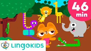 WILD ANIMAL SONGS FOR KIDS 🐘🐒🦒  More Adventure Songs  Lingokids [upl. by Neyuq]