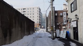 Hokkaido Otaru Station Walk  4K HDR [upl. by Dobbins]