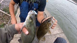 Ohio River Dam Multispecies Fishing [upl. by Alyose]