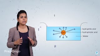 Carbon and its Compounds 16  Soaps and Detergents  CBSE Class 10 [upl. by Emie]