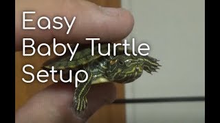 How To Setup a Turtle Aquarium Baby Turtle [upl. by Anivram]