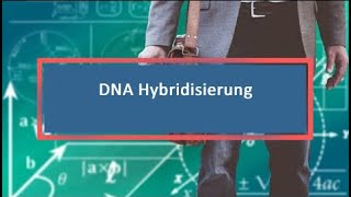 DNA Hybridisierung [upl. by Yelnik]