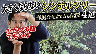 【絶対に大きくならない植木】小さいスペースでも安心して植えられる [upl. by Airtened308]