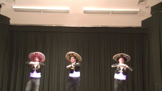 Mexican Hat Dance Baile mexicano del sombrero  learn how to do the Mexican hat dance [upl. by Gnilrets686]