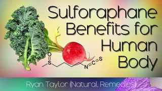 Sulforaphane Benefits for Health [upl. by Ailaht247]