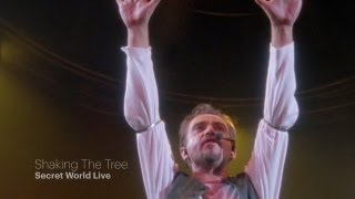 Peter Gabriel  Shaking The Tree Secret World Live HD [upl. by Zeret]