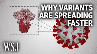 The Science Behind Why New Covid Variants Are Spreading Faster  WSJ [upl. by Adnamas]