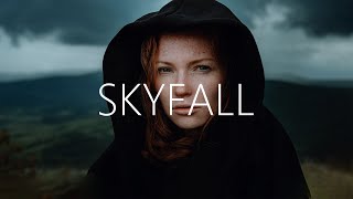 AYON  Skyfall Lyrics [upl. by Artap]