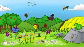 Plant A Pot For Pollinators  Butterfly Conservation [upl. by Nhor]