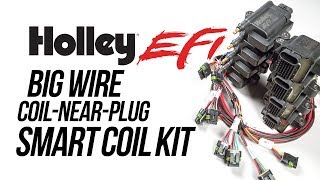 Holley EFI Big Wire CoilNearPlug Smart Coil Kit [upl. by Cynth]