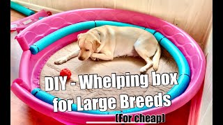 Tutorial  Whelping Box for Large Breeds [upl. by Mcleod]