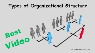 Types of Organizational Structure in management [upl. by Haianeb]