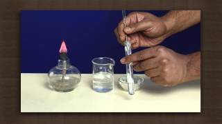 Making of soap  chemical reactions  Chemistry [upl. by Aylatan]