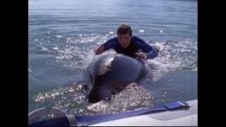 Free Willy 3  1997 trailer [upl. by Zohar]