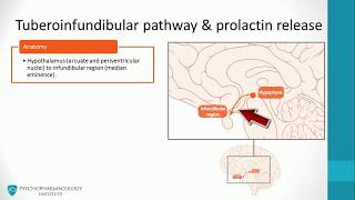 Antipsychotics Dopaminergic Pathways and Advanced Mechanisms [upl. by Edahc]