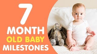 7 Months Old Baby Milestones [upl. by Cthrine]