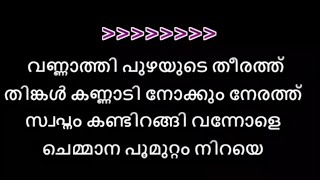 Vannathi Puzhayude Karaoke With Lyrics [upl. by Burlie931]