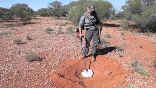 Gold Detecting Leonora Western Australia [upl. by Rianna]