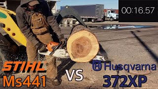 Stihl Ms441 vs Husqvarna 372xp Cutting Competition [upl. by Amilah]