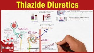 Pharmacology CVS 8 Diuretics  Thiazide Diuretics  Chlorothiazide Hydrochlorothiazide [upl. by Yxel]