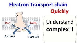 KREBS CYCLE MADE SIMPLE  TCA Cycle Carbohydrate Metabolism Made Easy [upl. by Atteuqram]