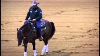 2015 Reining Demonstration [upl. by Onailerua]