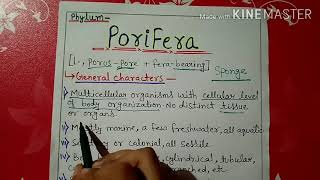 Phylum porifera characters and classification in Hindi [upl. by Neelahtak]