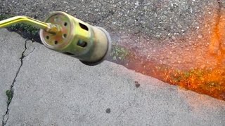 Quick amp Easy Way To Eliminate Unwanted Weeds Using A Propane Torch [upl. by Niliram801]