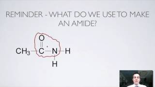 11 Ester and Amide Hydrolysis [upl. by Aihsaei446]