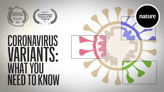 Coronavirus variants What you need to know [upl. by Wesla]