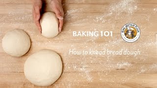 How to knead bread dough [upl. by Mellen]