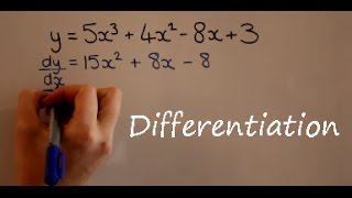 Differentiation [upl. by Ylera24]