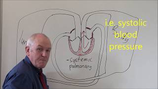 Heart 3 Pulmonary and Systemic circulation [upl. by Alleinnad]