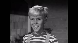 Dennis The Menace  S02E01  Out Of Retirement [upl. by Nett]