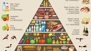 Food Pyramid Eating Healthy Lifestyle [upl. by Ynnig]