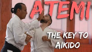 ATEMI  The Key to Improving Your Aikido Technique  Ep1 [upl. by Alister256]