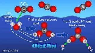 How Does Carbon Dioxide Enter Sea Water  Earth Science [upl. by Philbo554]