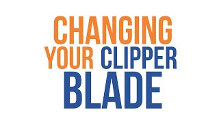 How To Change Your Clipper Blades [upl. by Neenej]