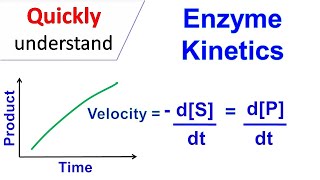 Enzyme kinetics [upl. by Anitnahs]