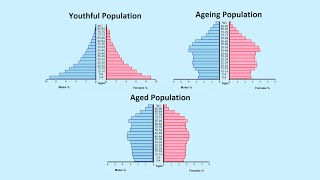 How to Read a Population Pyramid [upl. by Yanahs]