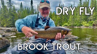 Ultimate Labrador Brook Trout Fishing [upl. by Yerggoeg]