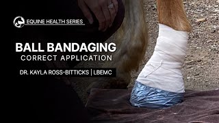 How to Bandage Your Horses Foot [upl. by Knoll]